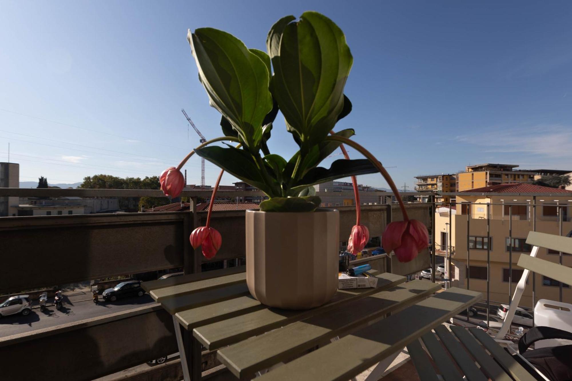 Florence Oasis Exterior foto